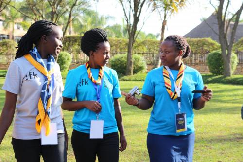 peer to peer mentoring